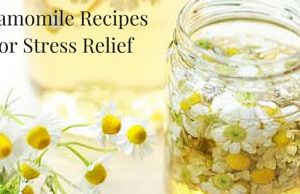 4 Chamomile Recipes For Stress Relief (1)