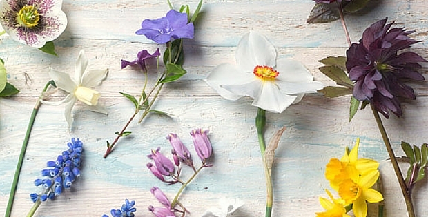 5 Ways To Rejuvenate Your Home For Spring