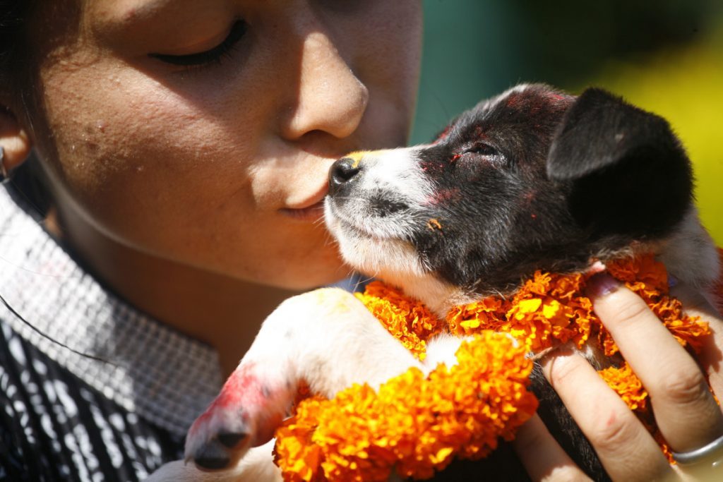 girl giving a puppy a kiss on the dog festival